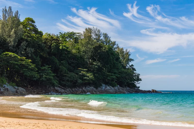 Tropical Beach with Clear Blue Water and Lush Green Forest