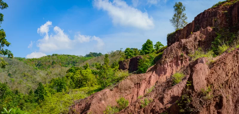 Панорама красной скалы среди зеленого леса под ясным голубым небом
