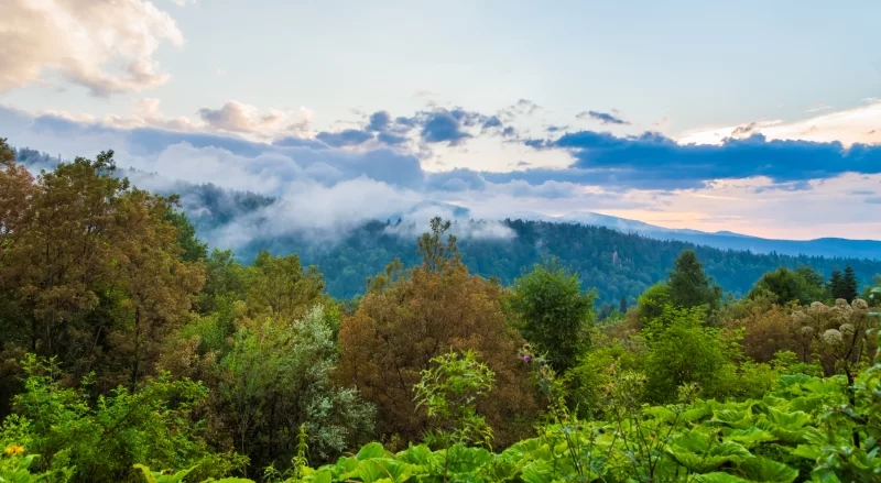 Долинное плато озера Наки в Адыгее.